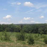 140 ac hunting Agricultural Property images 4
