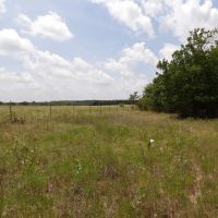 SMALL ACREAGE BIG BUCKS