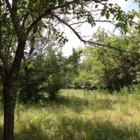 SMALL ACREAGE BIG BUCKS images 3