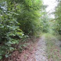 5 Ac Totally Wooded Mtn Views Secluded Close Lake