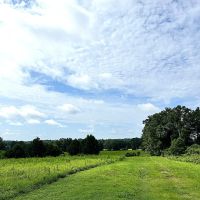 14-007-green-acres-farm images 4