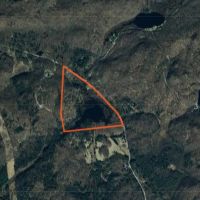 57 acres Hunting Land with Pond Pitcairn NY images 5