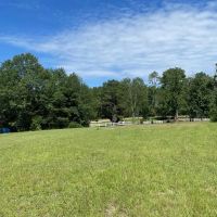 Mt Hermon 23.5 Acres For Sale images 5