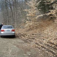 Algonquin State Forest - 1,198 acres of land for Turkey hunting - Colebrook, CT