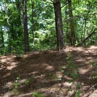DeQueen South images 5