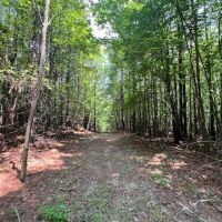 36 acres of Investment Homesite and Recreational Land For Sale in Person County NC images 4