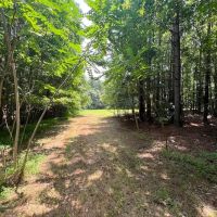 36 acres of Investment Homesite and Recreational Land For Sale in Person County NC images 5