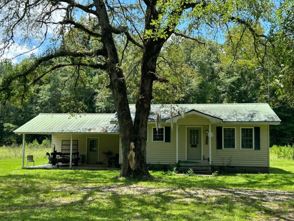 13.2 Acres with a Home in Jasper County MS featured image