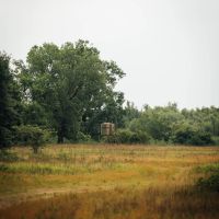 Equity Share at Hardin Point Hunting Club in Lee County AR images 2