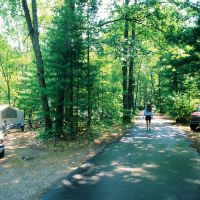 American Legion State Forest offering Deer Hunt - 1,185 acres - Litchfield, CT