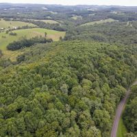 19.953 acres of Recreational and Hunting Land For Sale in Patrick County VA images 2