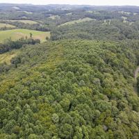 19.953 acres of Recreational and Hunting Land For Sale in Patrick County VA images 3