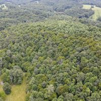 19.953 acres of Recreational and Hunting Land For Sale in Patrick County VA images 4