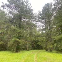 142 Acres images 5