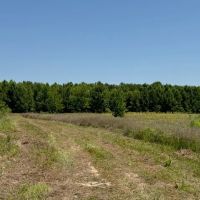 LA - Richland 80 acres -