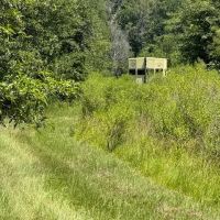 LA - Richland 80 acres - images 4