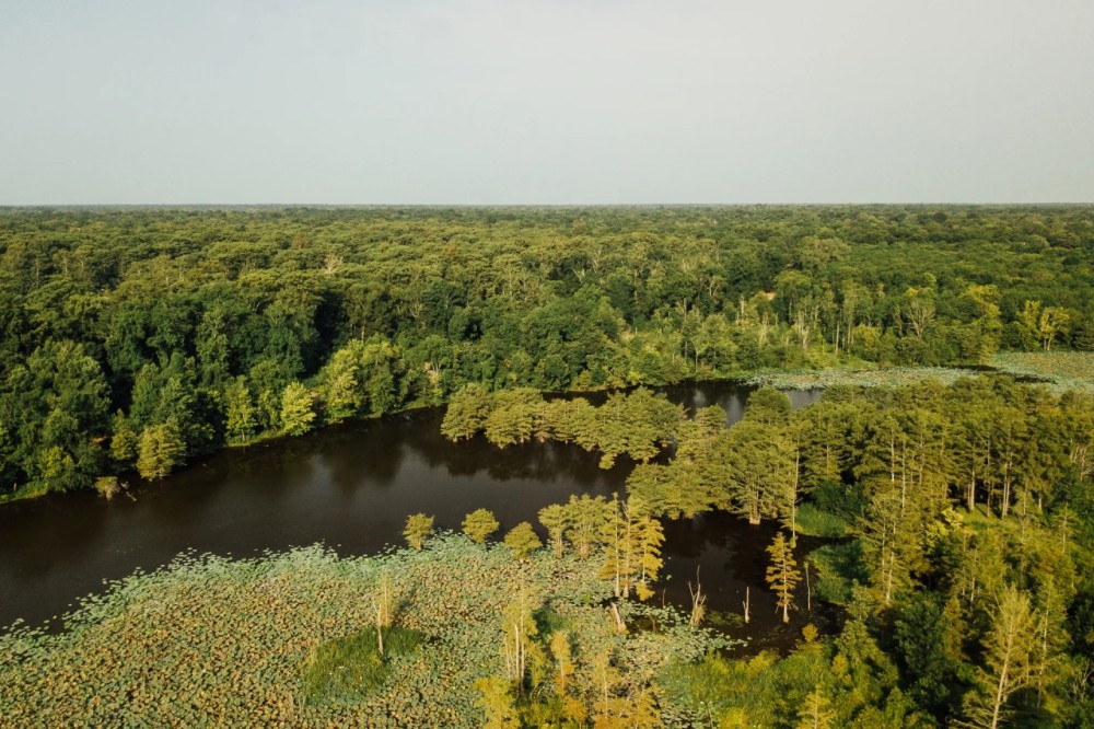 One Equity Share with a Cabin at Black Bayou Hunting Club featured image