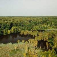 One Equity Share with a Cabin at Black Bayou Hunting Club