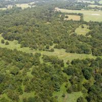 Foxy Lane images 3