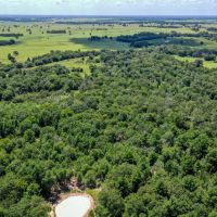 10 Acres Lone Star Ridge Lovelady TX 75851