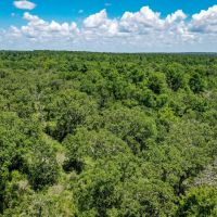 10 Acres Lone Star Ridge Lovelady TX 75851 images 4
