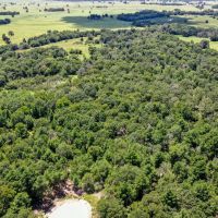10 Acres Lone Star Ridge Lovelady TX 75851 images 5