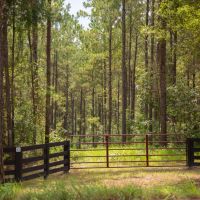 61 Acres T-17 Stryker Mill images 2