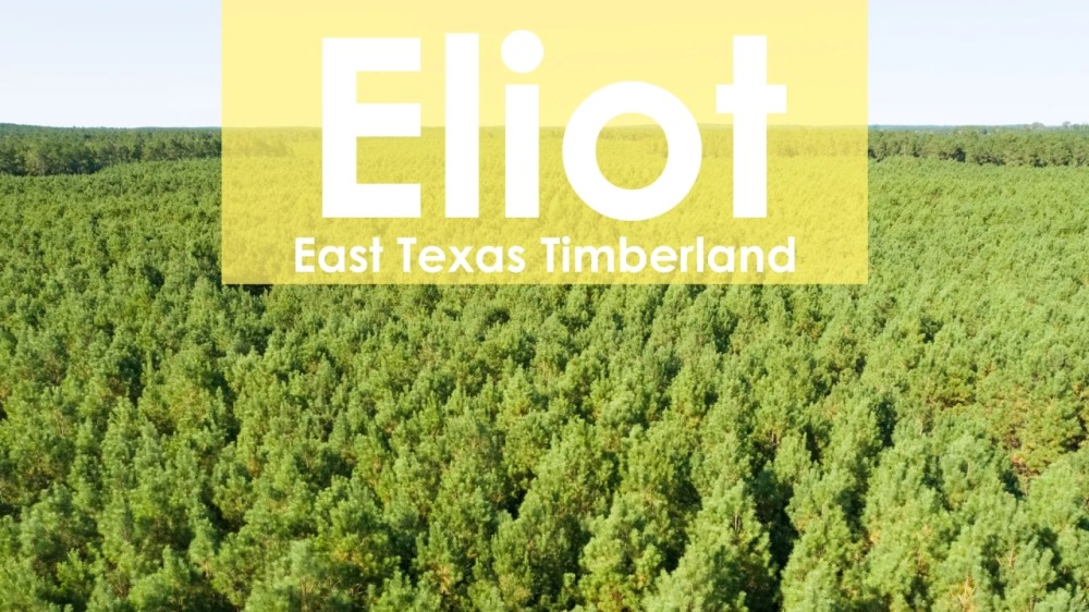 17 Acres T-47 Eliot featured image