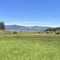 Meadow Ranch