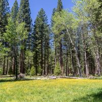 Meadow Ranch images 5