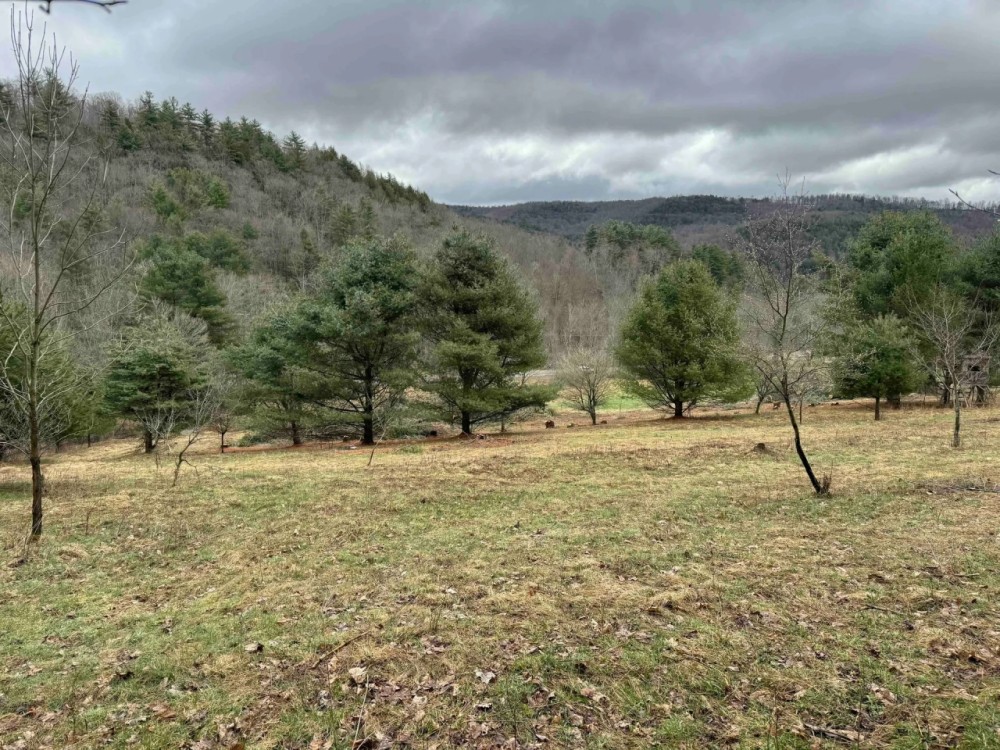 9 acre Building Lot and Recreational Land in Bolivar NY County Road 33 featured image
