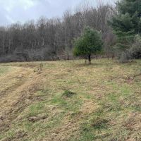 9 acre Building Lot and Recreational Land in Bolivar NY County Road 33 images 4