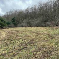 9 acre Building Lot and Recreational Land in Bolivar NY County Road 33 images 5