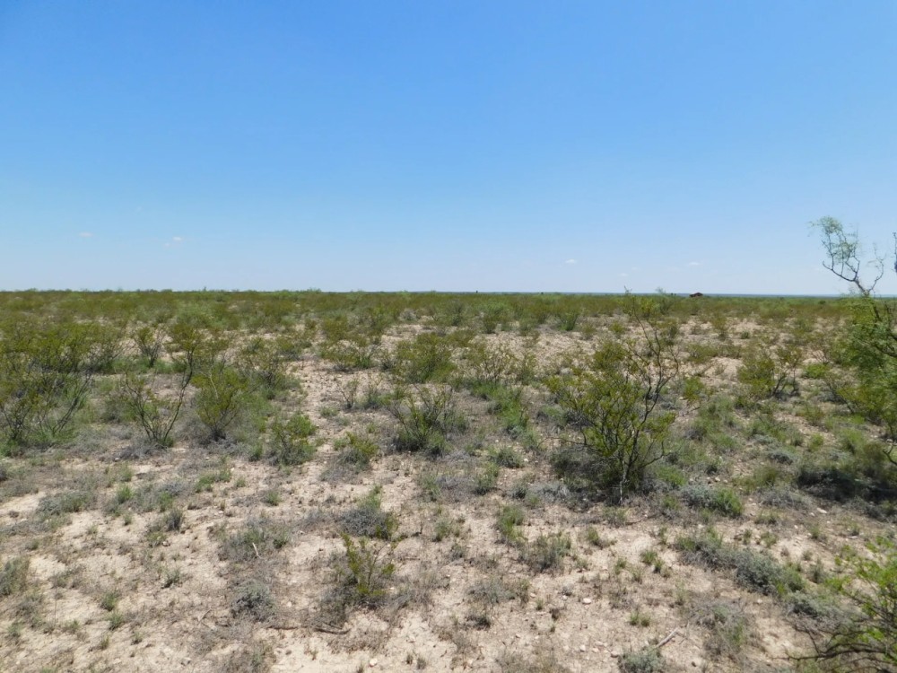 Hunting Tract in Meyers Canyon Ranch Subdivision Terrell County Dryden Texas featured image