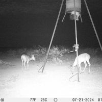 Hunting Tract in Meyers Canyon Ranch Subdivision Terrell County Dryden Texas images 4