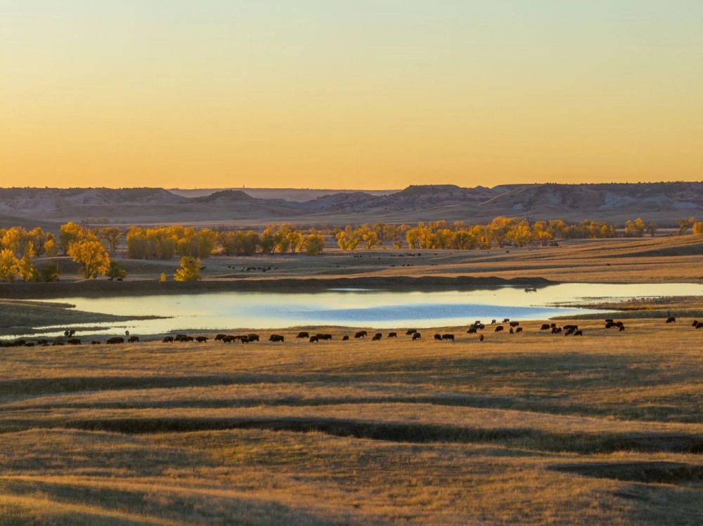 Dakota Partnership Ranch featured image