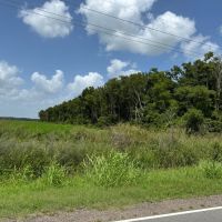 LA - East Carroll 40 acres - images 2