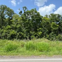 LA - East Carroll 40 acres - images 4