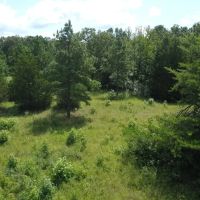 20 - Acres For Sale in Butler Co. images 3