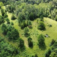 20 - Acres For Sale in Butler Co. images 5