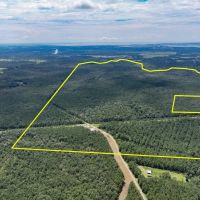 1 018 Acres Trainer Lane 02493