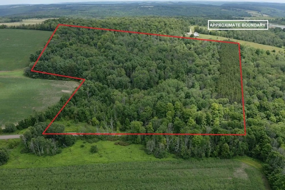27 acres Hunting Land and Recreational Land with Stream in Cameron NY County Road 25 featured image
