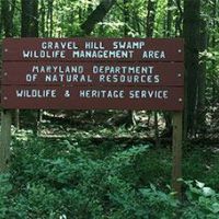 76 Acres of East Swamp WMA - Turkey Hunt in Fairfield, CT