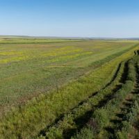 Prairie Wing Ranch images 3