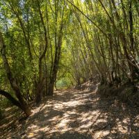 Eastwood Ranch images 2