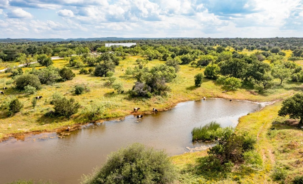 Bar V Ranch featured image