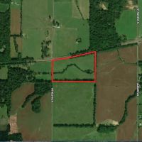 Income producing farm images 4