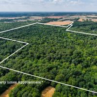 Approximately 133 acres of rolling hills and wooded bliss in Dix IL images 2