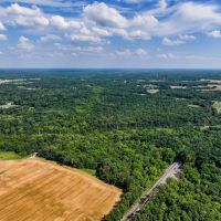 Approximately 133 acres of rolling hills and wooded bliss in Dix IL images 3