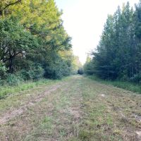 LA - Franklin 368.5 acres - images 3
